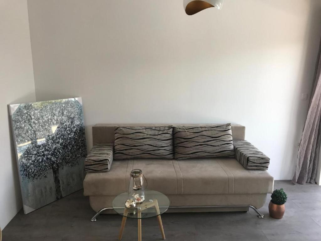 Villa Carolina تروغير المظهر الخارجي الصورة